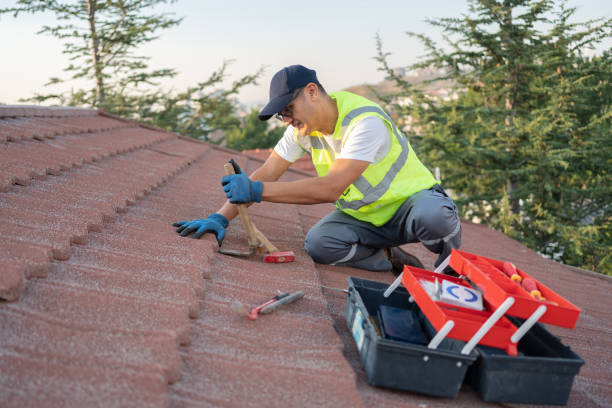 Best Residential Roof Replacement  in Potomac Heights, MD