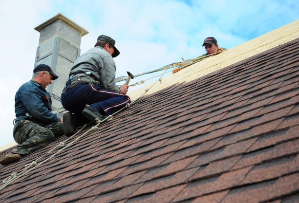 Best New Roof Installation  in Potomac Heights, MD